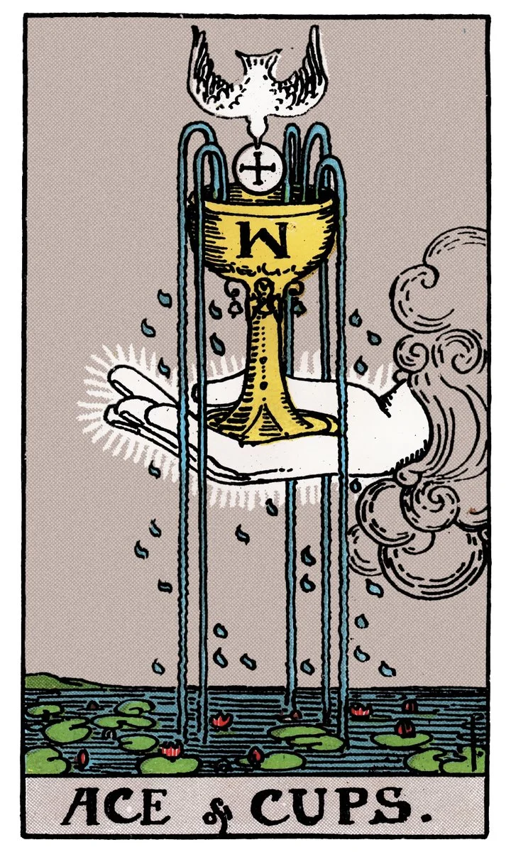 Ace of Cups — หนึ่งถ้วย