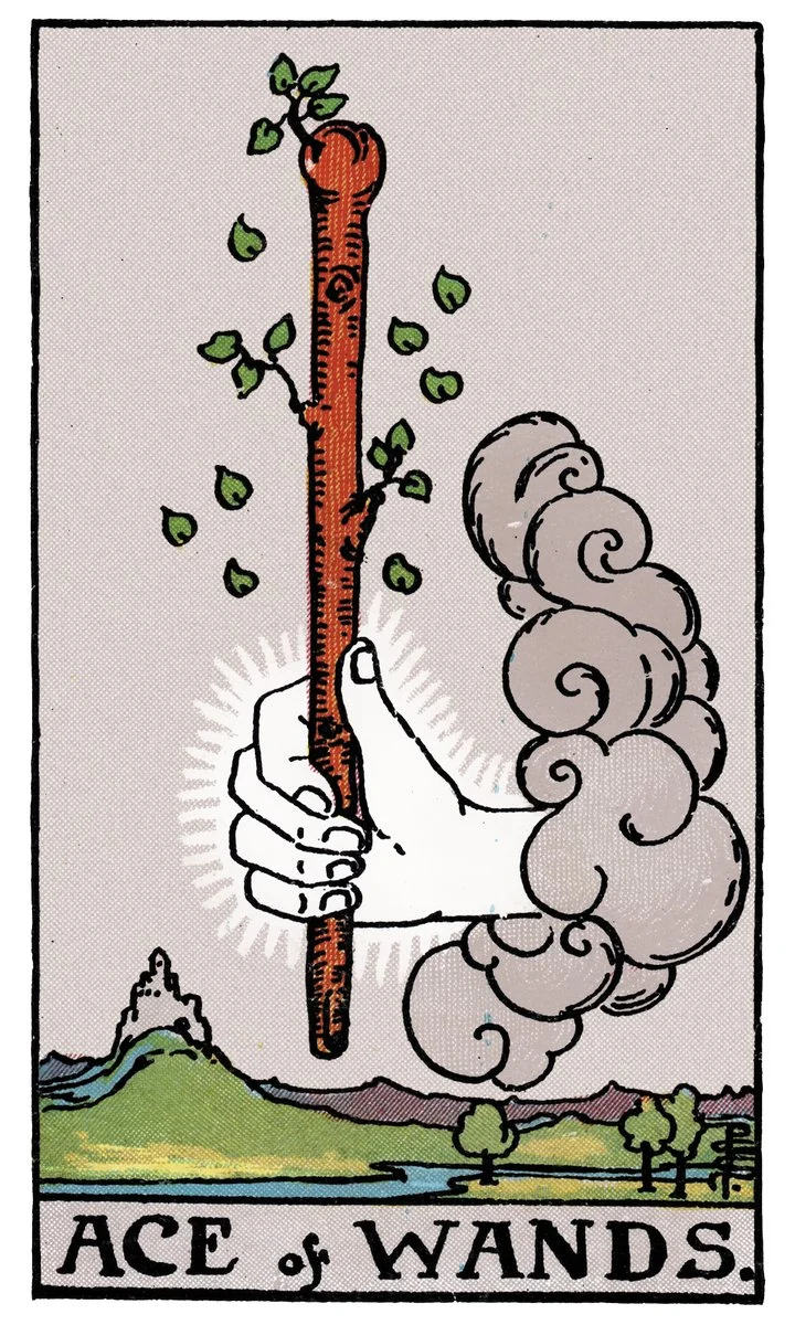 Ace of Wands — หนึ่งไม้เท้า