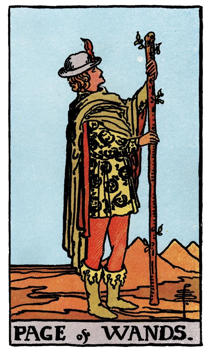 Page of Wands — ผู้เรียนรู้ไม้เท้า